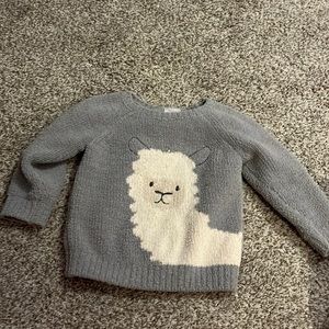 Hanna Andersson sweater